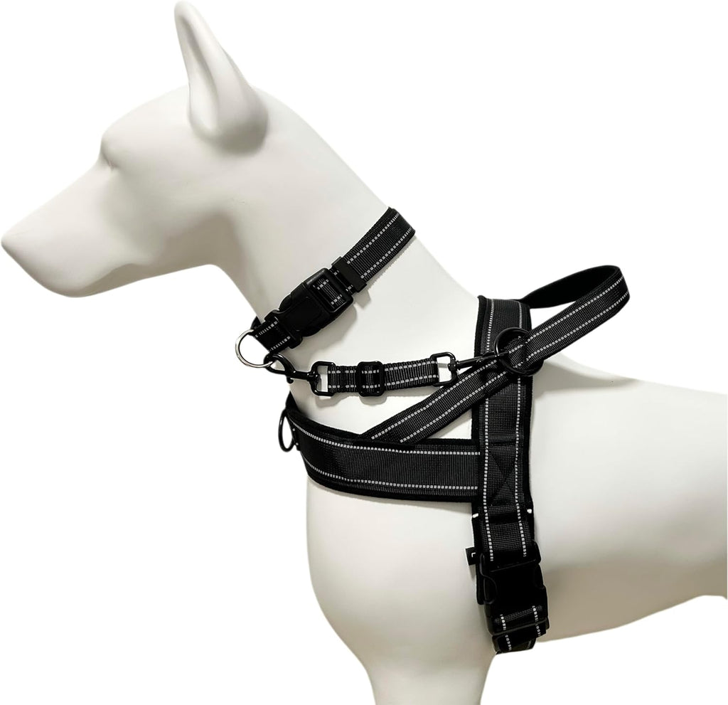 Premium USA imported dog safety clip packaging view for Indian pet owners