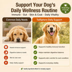 TailSphere veterinary formulated dog gut and skin health supplements close up