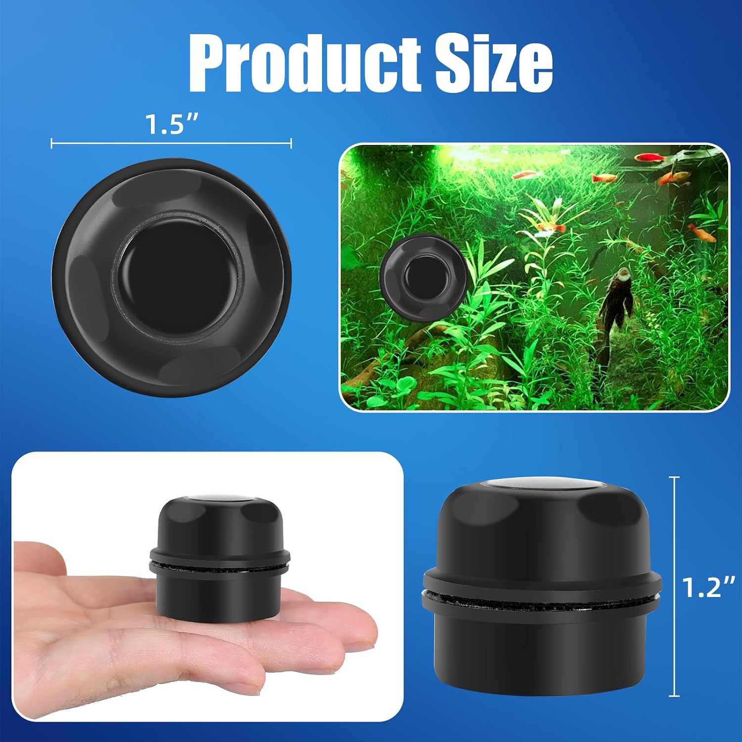 Small algae scraper tool attached to a mini glass fish tank for easy maintenance.