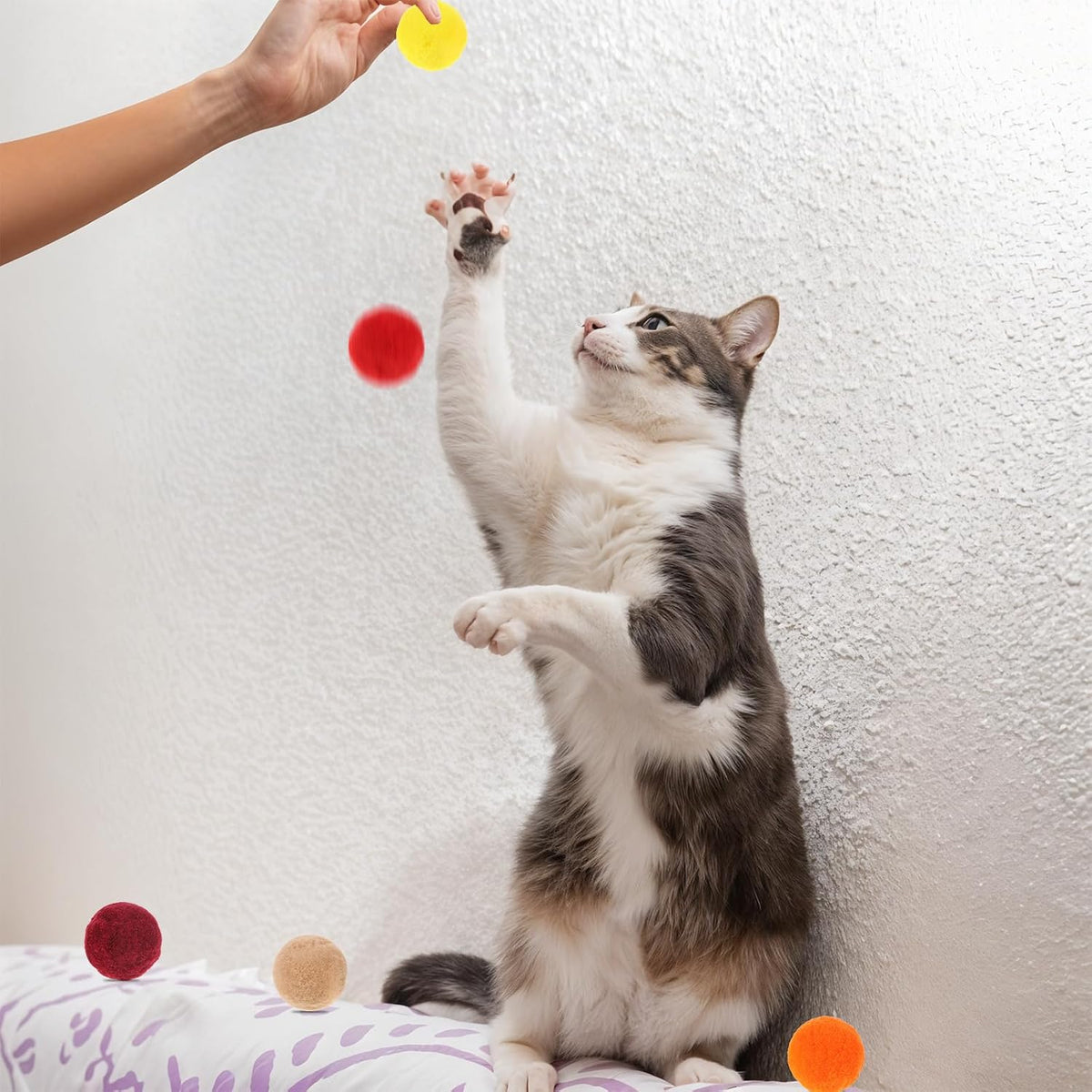 Close up of Xthrotsenk soft fuzzy cat pom pom balls