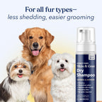 Honest Paws Dog Dry Shampoo - Waterless No Rinse Foaming Formula Reducing Itch Cleanse Hydrate Nourish Dry Skin and Smelly Coat Help Decrease Odor Shedding and Allergies - Oatmeal & Lavender - 6.3 oz - Image 9