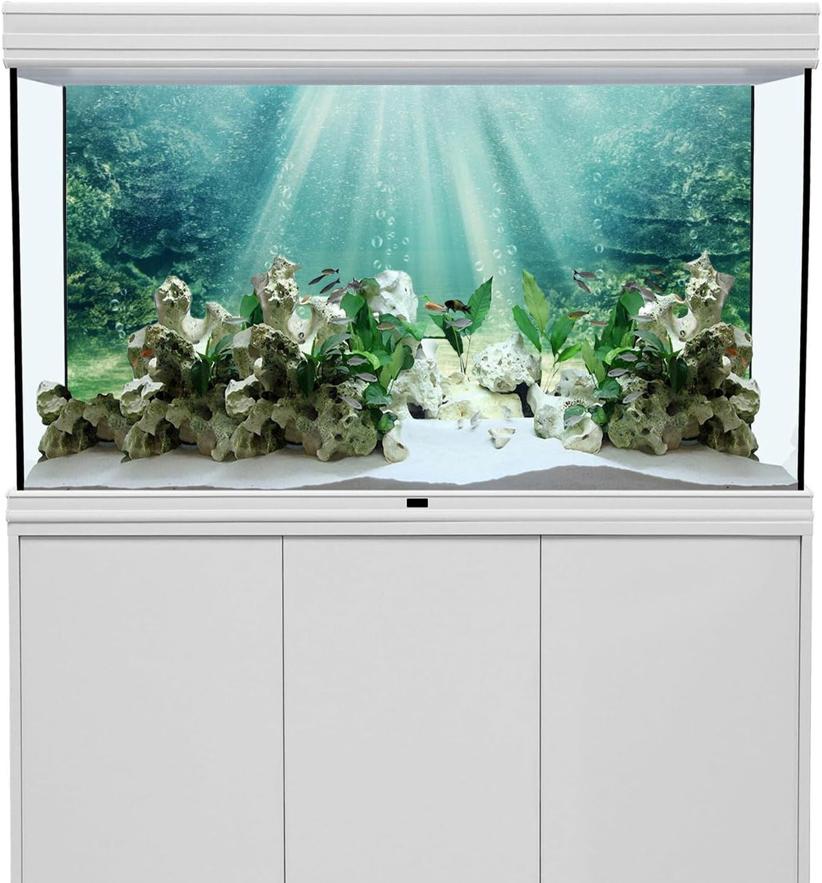 Awert aquarium background front view featuring ocean floor underwater scene