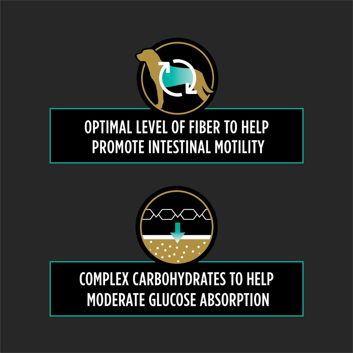 Premium USA imported veterinary dog food for gastrointestinal health kibble detail