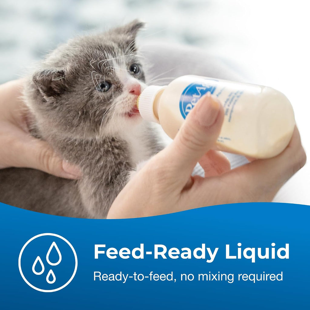 Close up of PetAg KMR packaging highlighting its easy to digest and gut friendly formula attributes.
