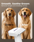 Oneisall 15000Pa powerful suction pet vacuum kit with all 4 interchangeable attachments displayed