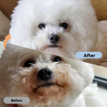 2 piece pet flea and lice removal comb set