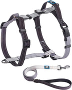 Full set of Roses&Poetry harness and leash in packaging