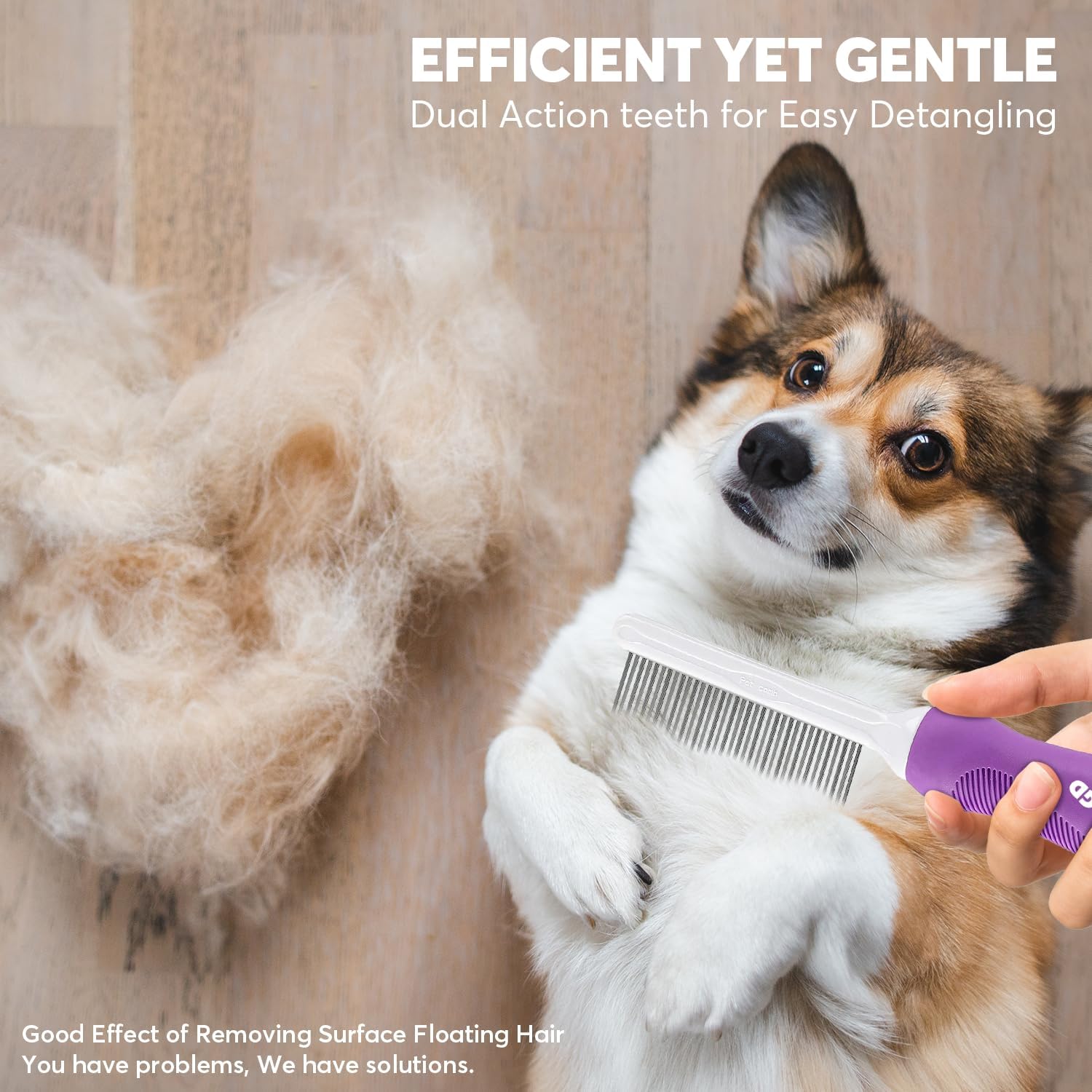Complete packaging view of the imported Shopping GD dual-length stainless steel pet grooming accessory.