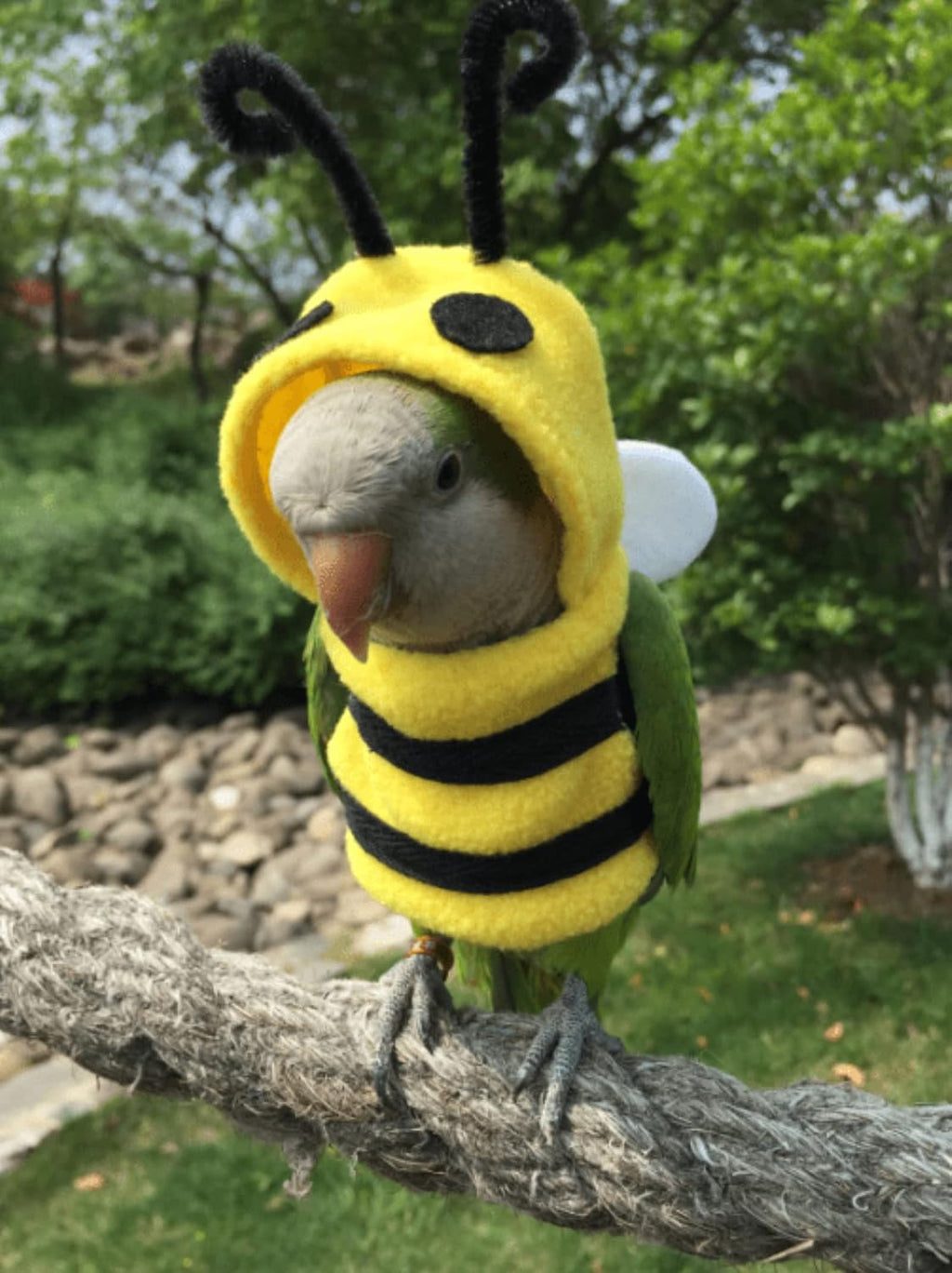 YANQIN bee bird costume hooded detail