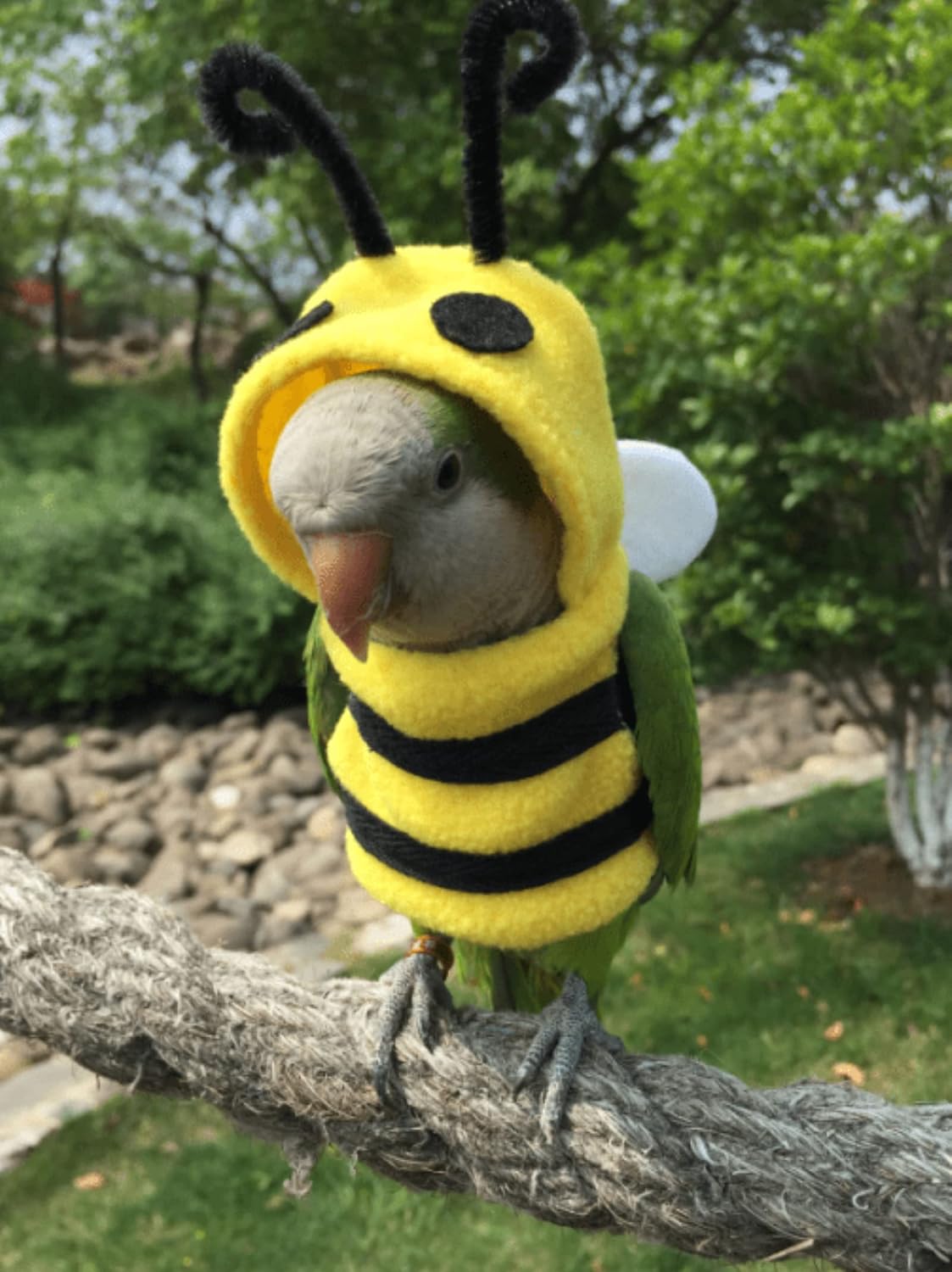 YANQIN bee bird costume hooded detail