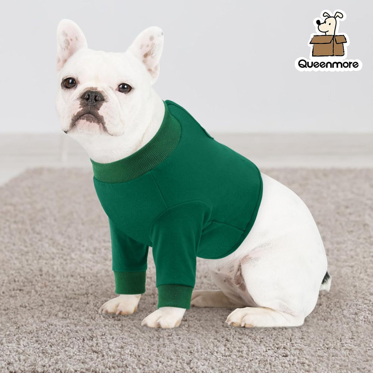 Authentic USA imported Queenmore pet medical accessory packaging