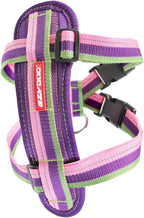 EzyDog Chest Plate No Pull Dog Harness - Escape Proof Harness with Reflective Stitching and Comfort Padding for Easy Walks, Training & Control - Car Restraint Included (Large, Black) - Image 12