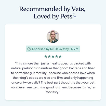 Dog dental hygiene powder displaying the advanced oral care formula by Pawfy.
