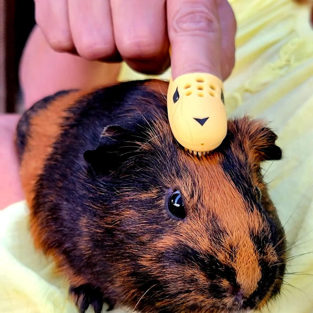 HuggleBrush small pet massager and shedding brush close up view