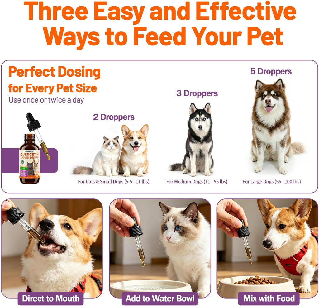 Pet parent mixing VOSIFSDIY quercetin drops into dog kibble bowl.
