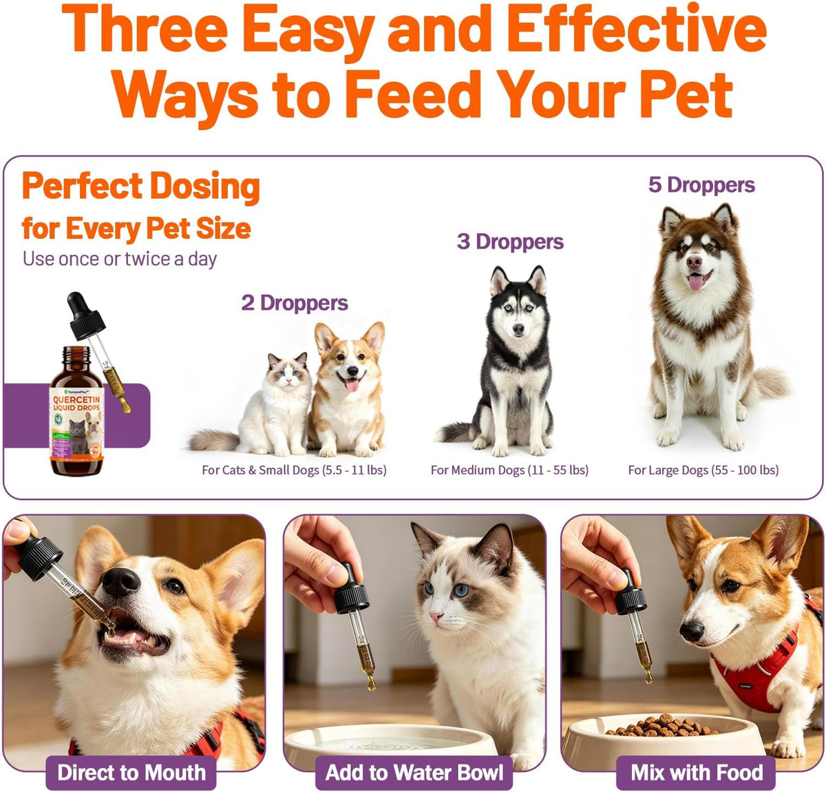 Pet parent mixing VOSIFSDIY quercetin drops into dog kibble bowl.