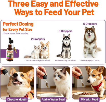 Pet parent mixing VOSIFSDIY quercetin drops into dog kibble bowl.