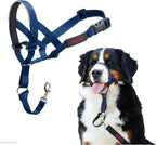 Halti Headcollar - Stop Your Dog Pulling on the Leash. Adjustable, Reflective and Lightweight, with Padded Nose Band. Dog Training Anti-Pull Collar for Medium Dogs (Size 3, Black) - Image 9