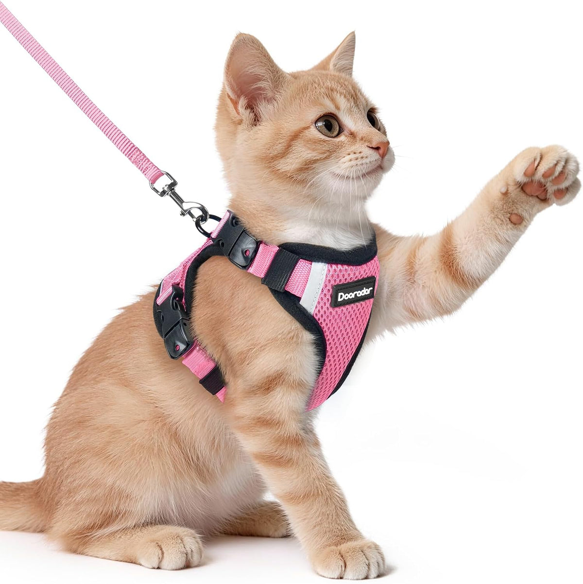 Dooradar Cat Harness and Leash Set, Escape Proof Soft with 3 Adjustable Buckles, Comfortable Vest Easy to Wear Kitten Harness with Reflective Strip, Safe for Outdoor Walking, Black, S - Image 11