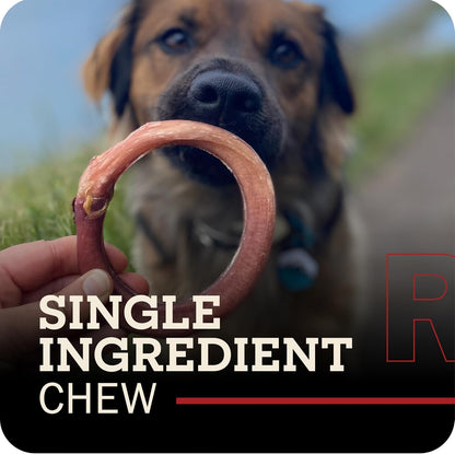 Redbarn natural single ingredient beef pizzle dog chew rings