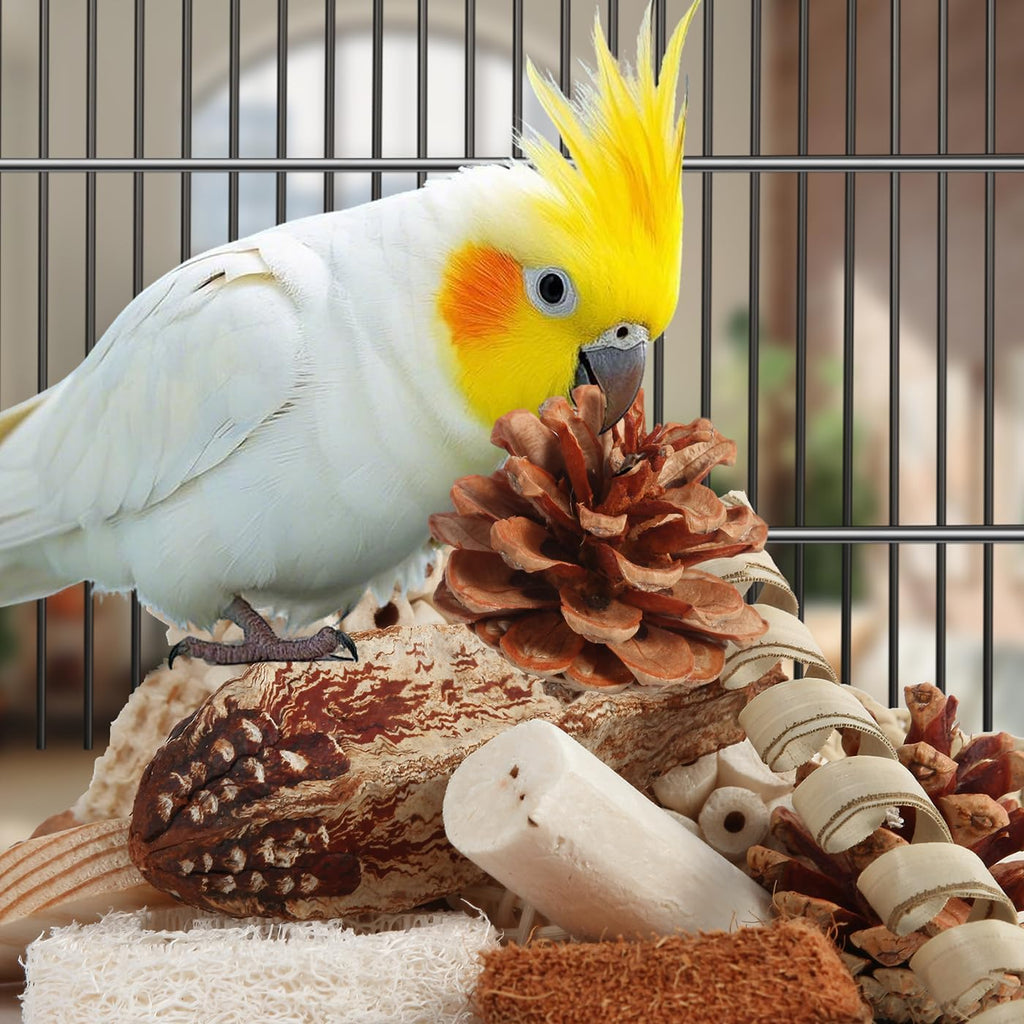 Eco friendly foot toys for parakeets and cockatiels