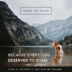 Made to ROAM Premium Dog Collar - Adjustable Heavy Duty Nylon Collar with Quick-Release Metal Buckle (Colorado Nightsky, Classic Size 3) - Image 9