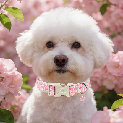 Durable quick release buckle on Mr. Chubbyface dog collar