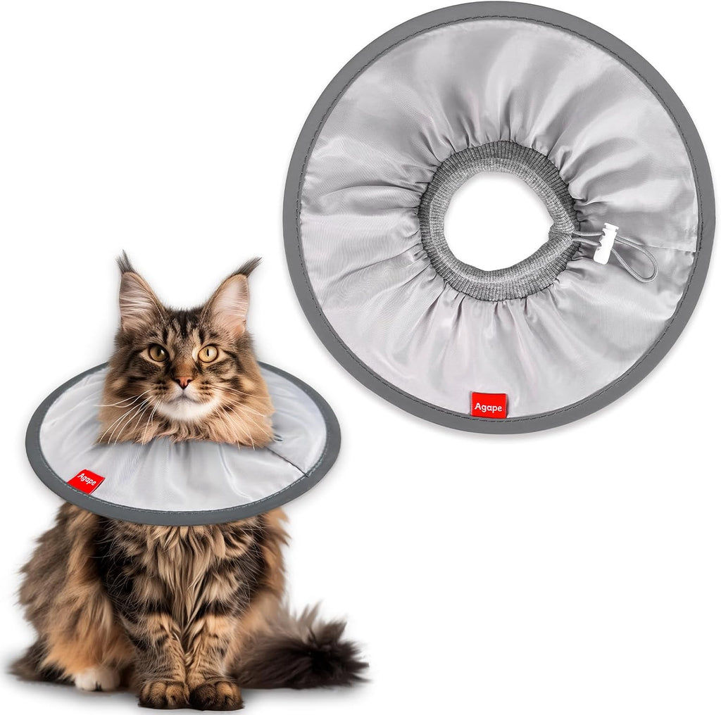 Agape ivory medium soft pet cone on a domestic cat