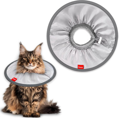 Agape ivory medium soft pet cone on a domestic cat