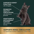 VetriScience renal support bottle next to feeding guide label