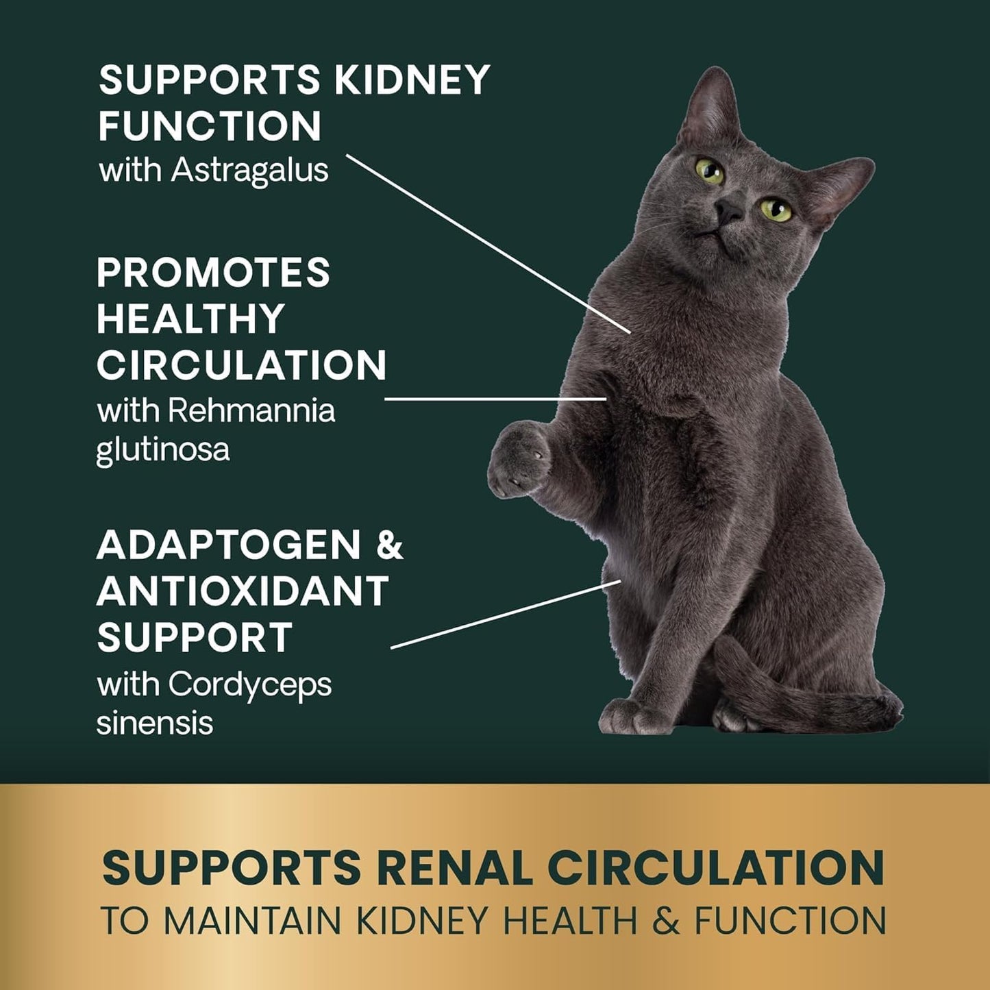 Authentic VetriScience cat kidney support chewable tablets nutritional information