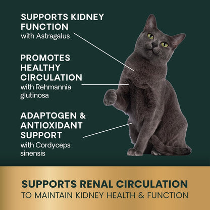 Authentic VetriScience cat kidney support chewable tablets nutritional information