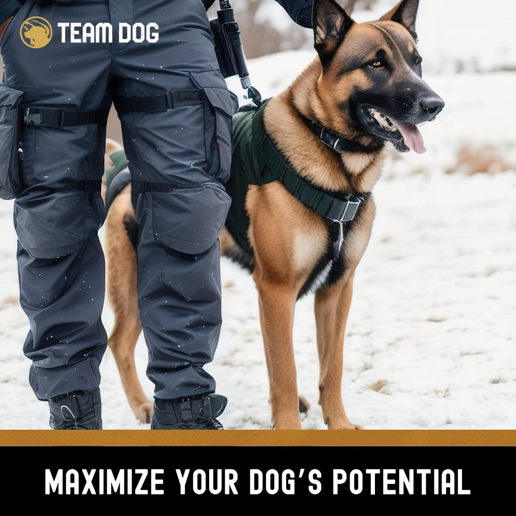 Team Dog whole carcass chicken raw diet for adult dogs