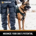 Team Dog whole carcass chicken raw diet for adult dogs