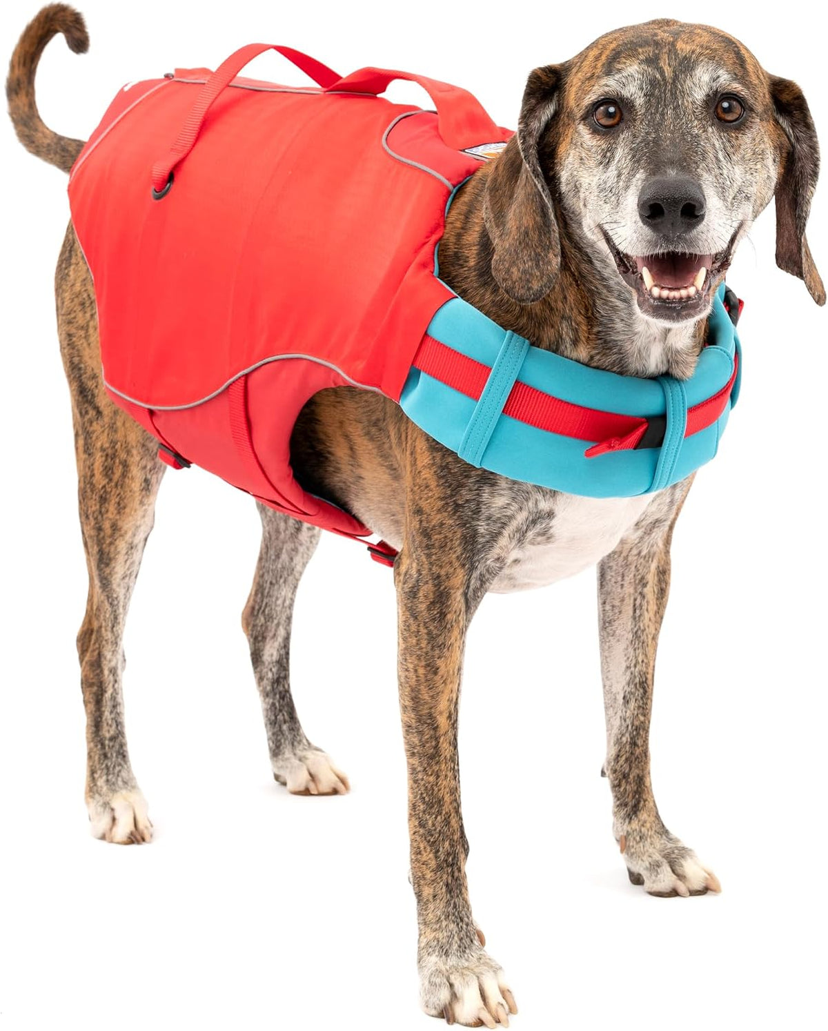 Durable ripstop material detail of Kurgo puppy safety vest