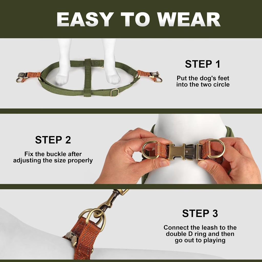 Adjustable straps on Didog green pet harness