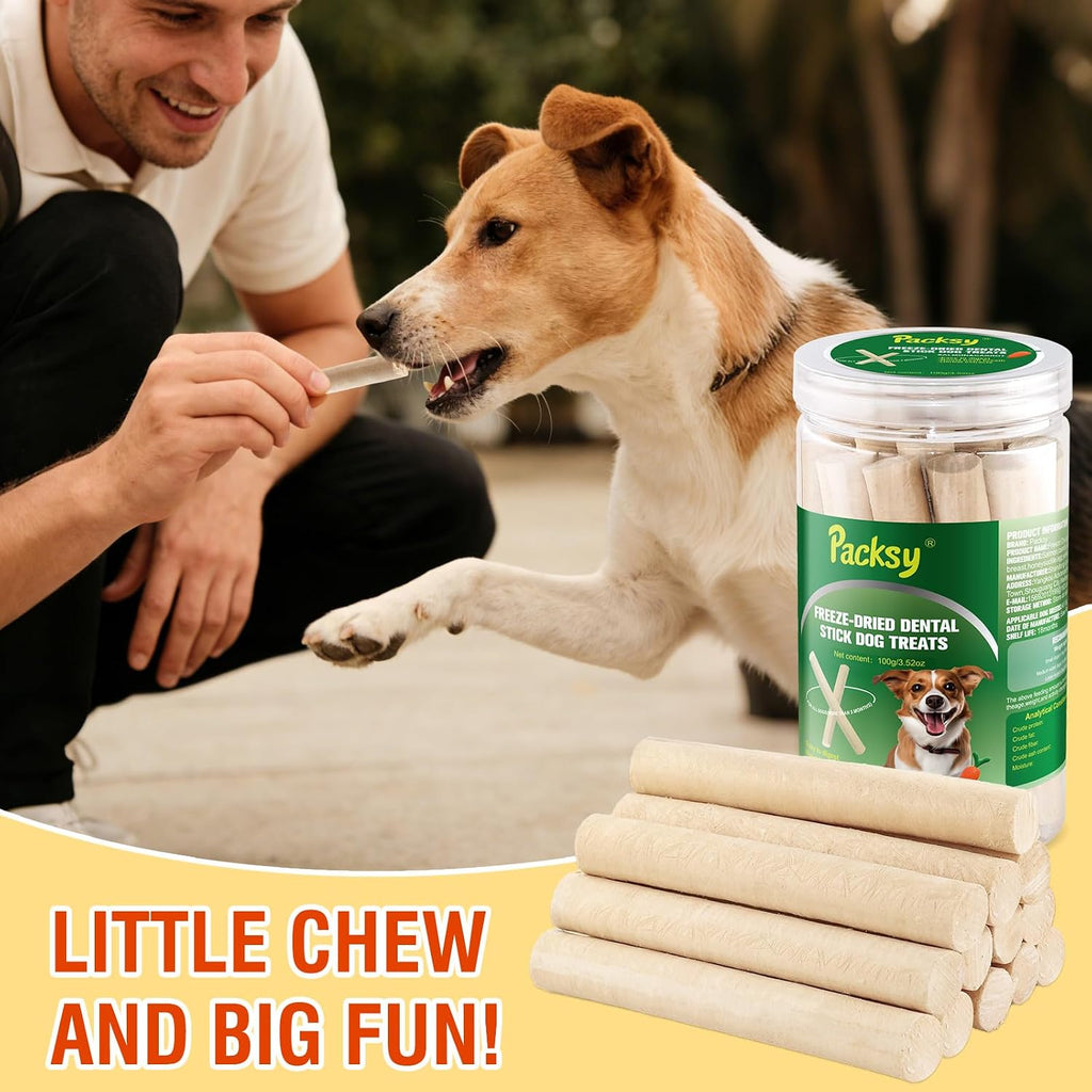 Small and large breed dogs enjoying healthy snacks
