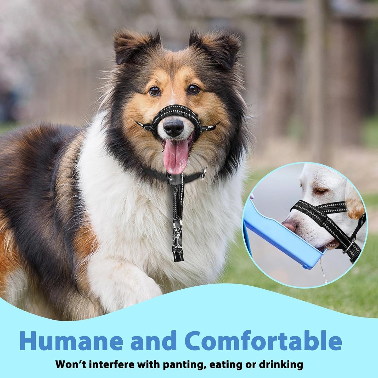 Instructional diagram for fitting Barkless head collar