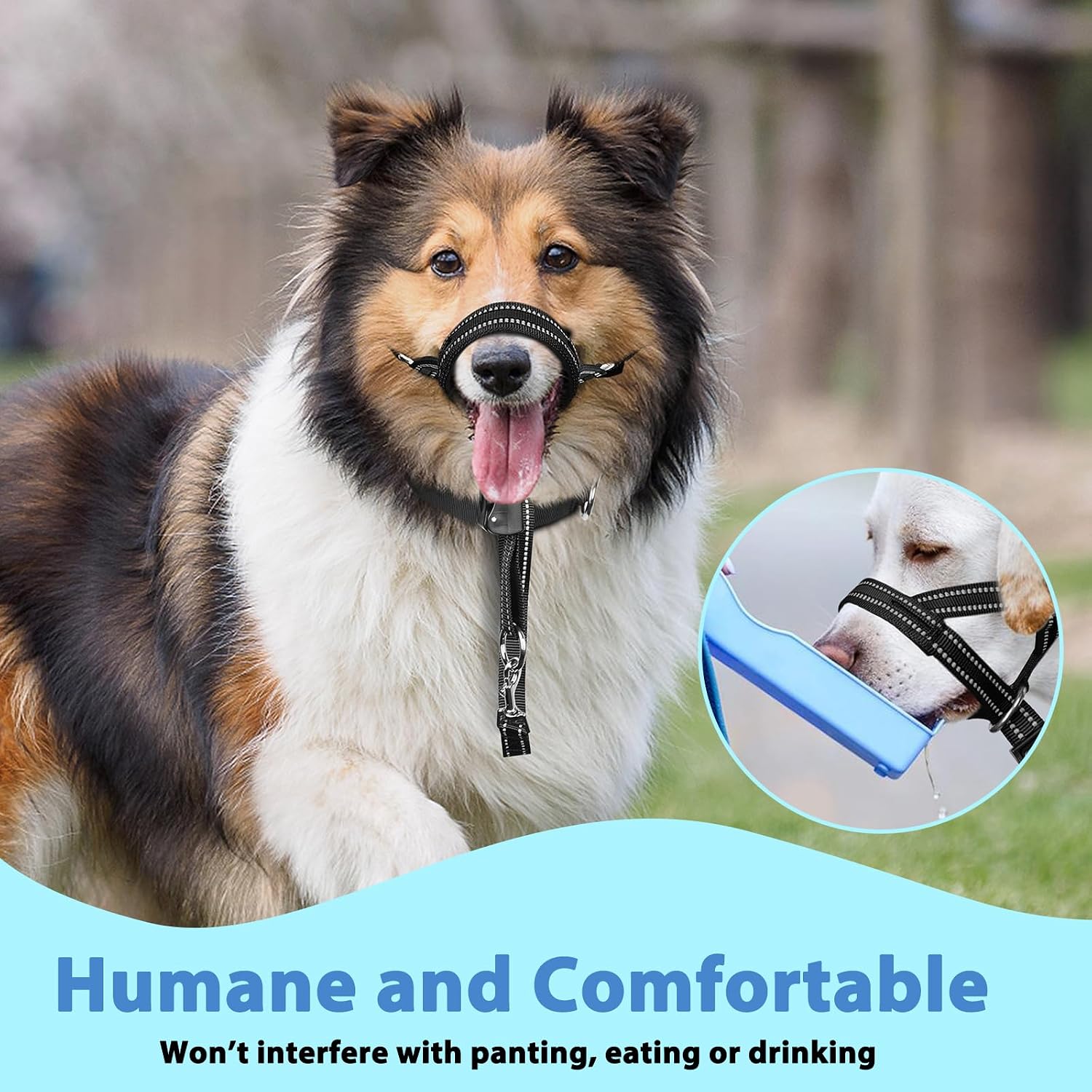 Instructional diagram for fitting Barkless head collar