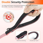 Tiffpaws heavy duty dog leash pink and grey stripe colorway