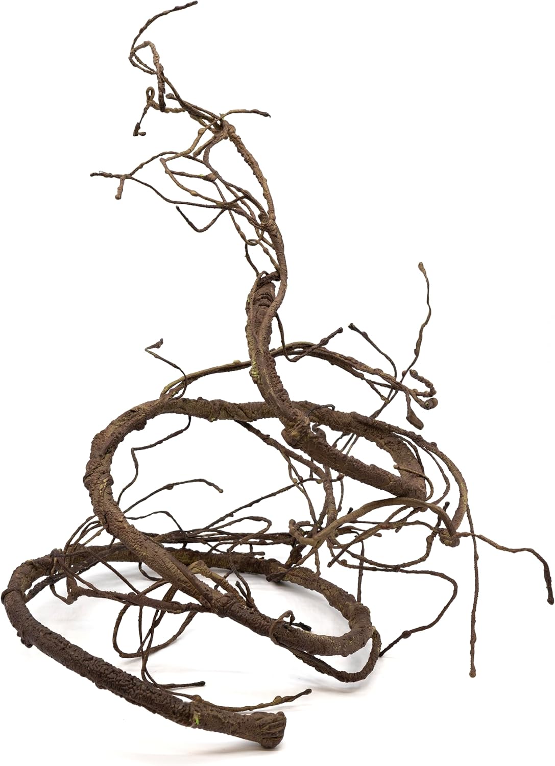 Pangea Reptile vine showing offshooting branches