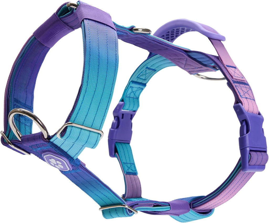 Spark Paws No Pull Dog Harness front view featuring 90s Retro gradient design