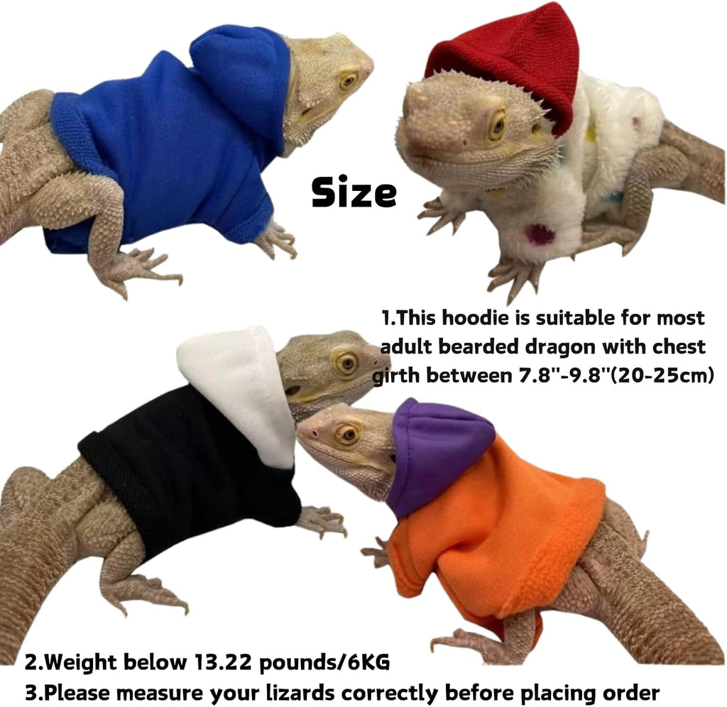 KUNBIUH lizard clothes front view of white bearded dragon hoodie