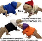 KUNBIUH lizard clothes front view of white bearded dragon hoodie