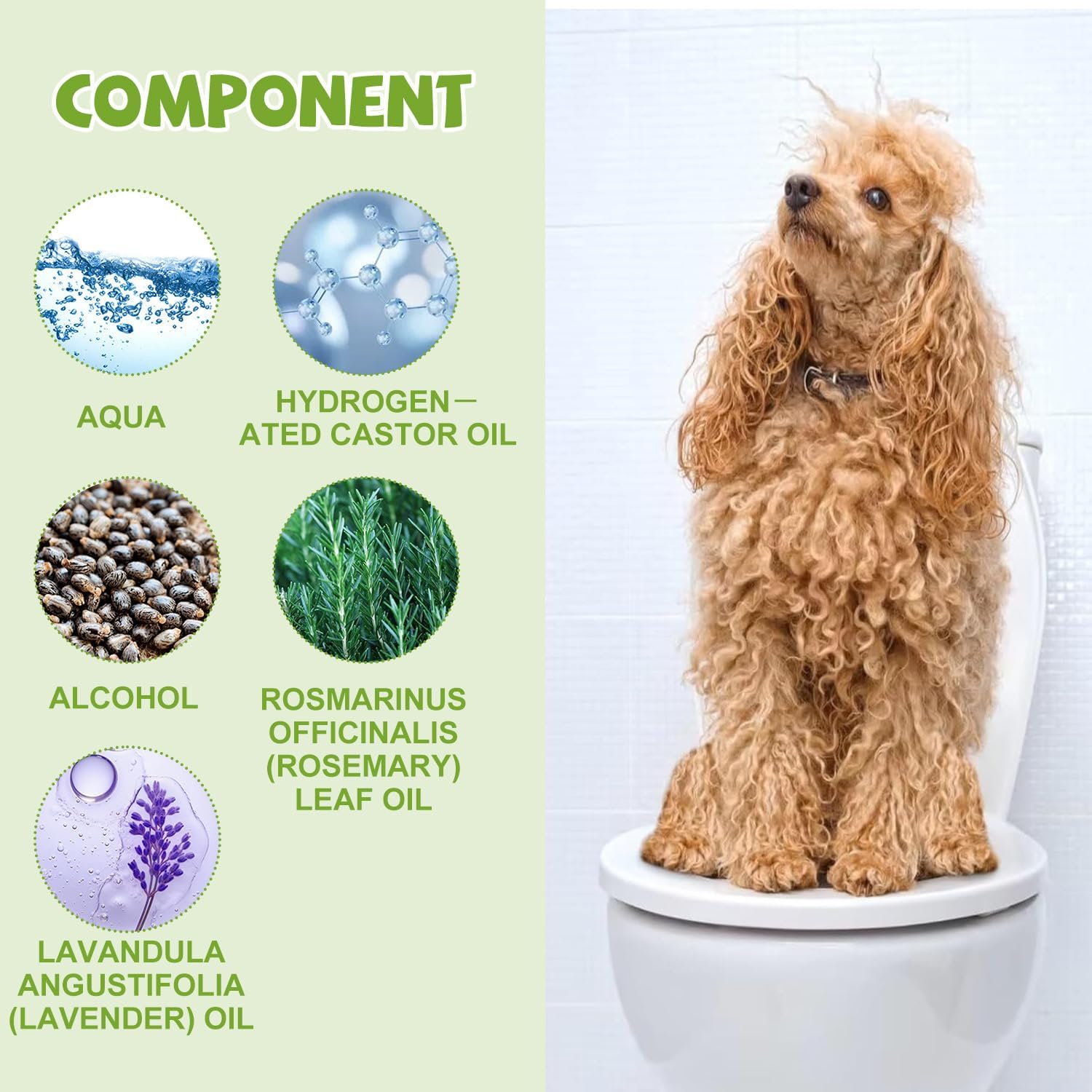 Joanofarc dog potty training spray set for indoor and outdoor use