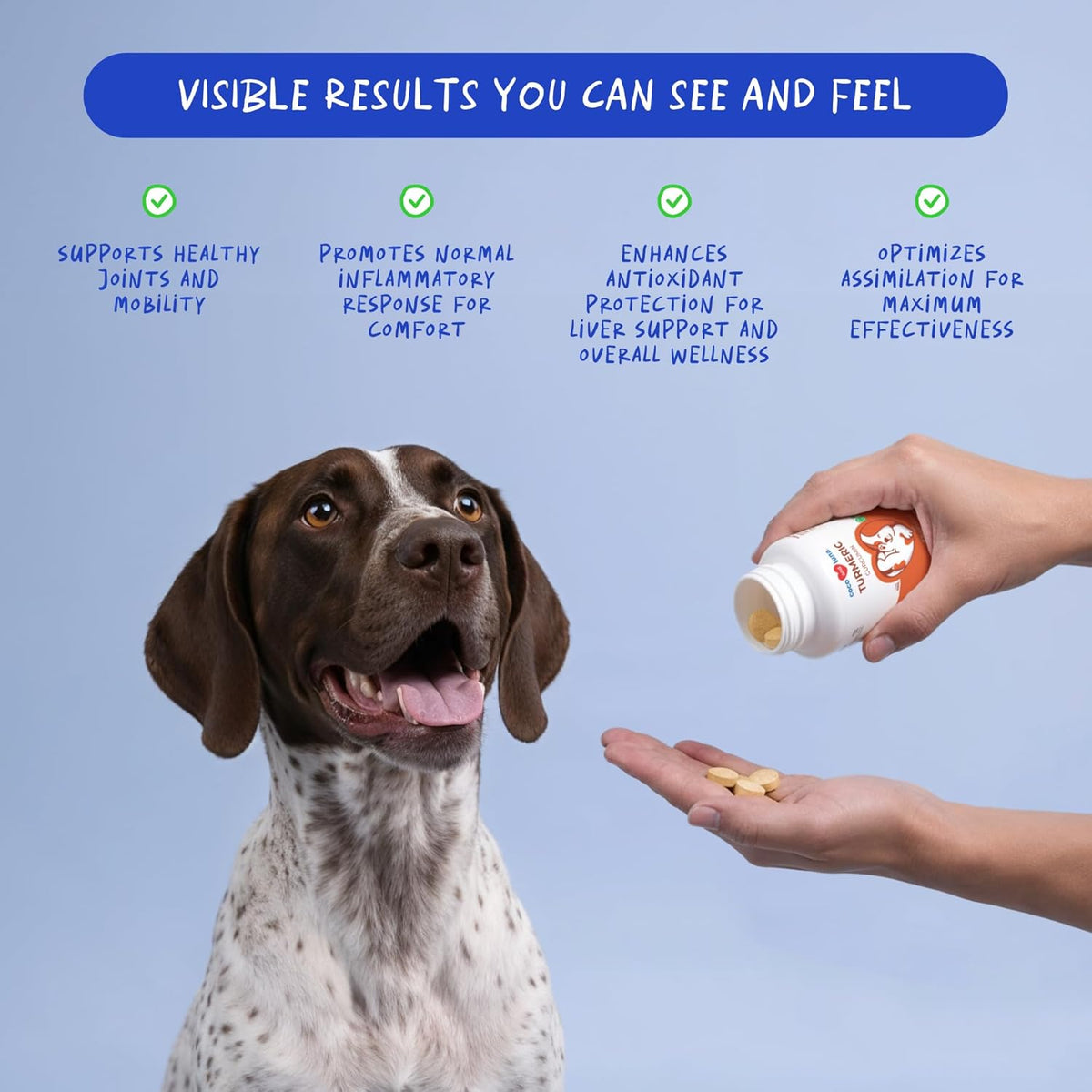 Coco and Luna anti inflammatory chewable tablets for dogs suffering from joint pain
