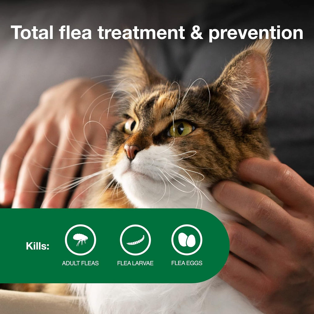 Two applicator tubes of Advantage II flea treatment for large cats placed next to the retail box.