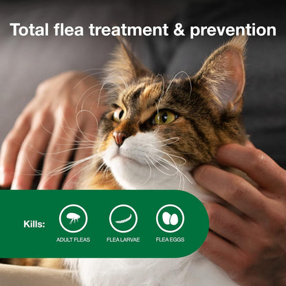 Two applicator tubes of Advantage II flea treatment for large cats placed next to the retail box.