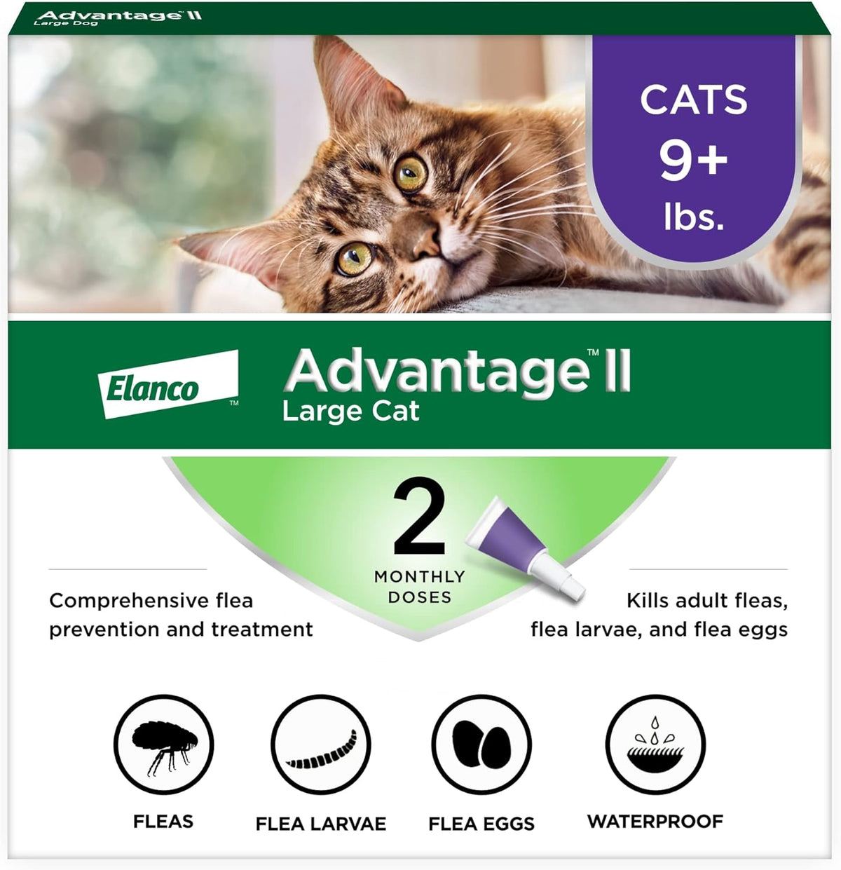 Advantage II Large Cat Flea Treatment front view packaging showing 2 month supply for cats over 9 pounds.