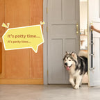 Seven stainless steel bells for housebreaking dogs